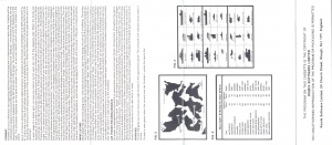 StrategicCommand Inlay Back.jpg