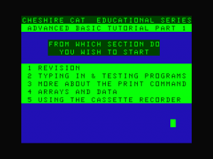 BasicTutorialAdvancedLevel Screenshot02.png
